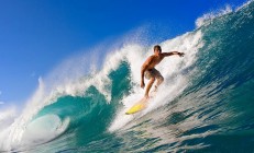 开云体育中国官网-世界排名争夺战焦点战，鹈鹕硬仗取胜太阳，西部格局再起波澜