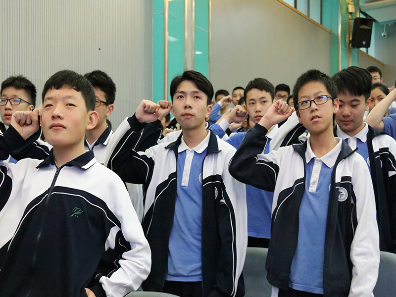 关于东北球队披荆斩棘，冲刺冠军的信息