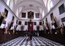 格拉纳达女王医治有成,即将印小天线球 格拉纳达女王医治有成,即将印小天线球